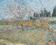 Vincent Van Gogh Flowering orchard with peach-trees oil on canvas